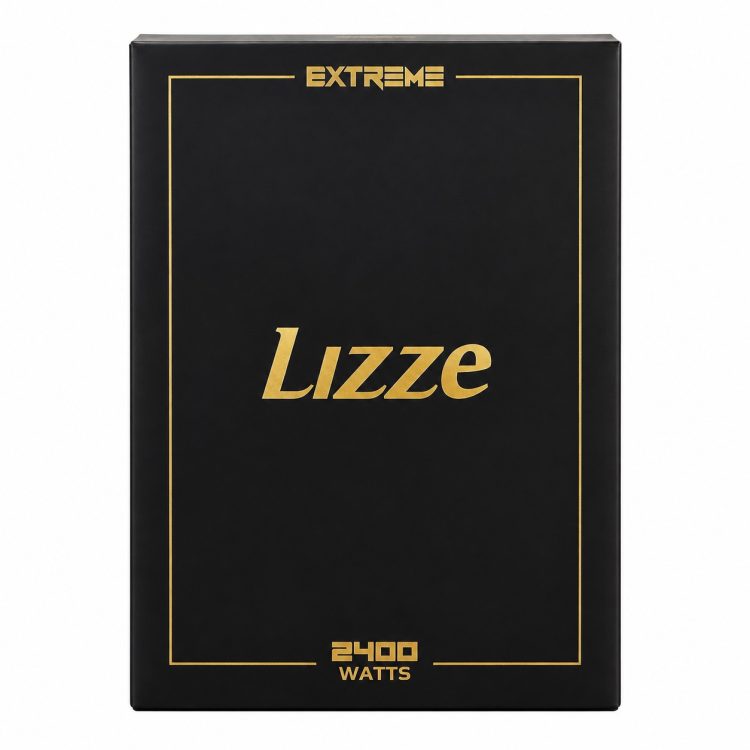 سشوار ۲۴۰۰ وات Lizze